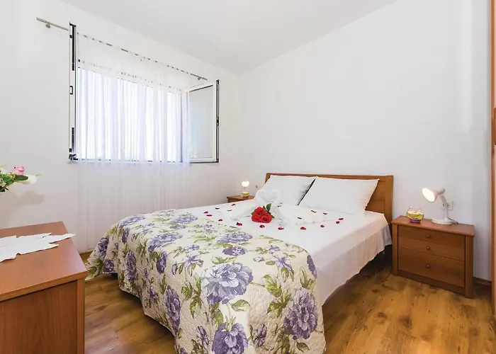 With Sea View V 보디체